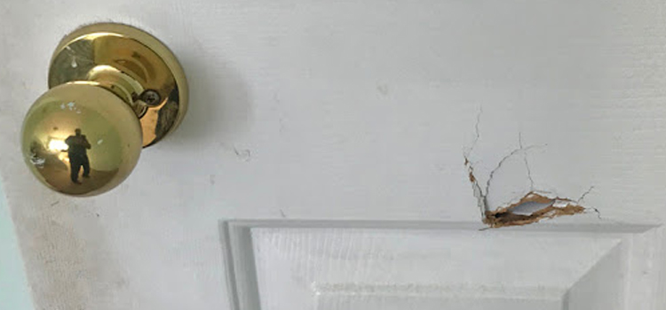 interior door hole repair Sebastopol