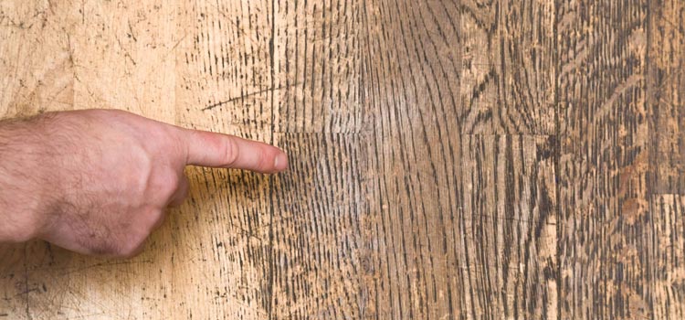 Wood Door Scratch Repair in Sebastopol